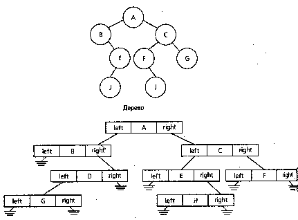 derevo10.gif (3274 bytes)