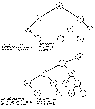 derevo11.gif (4222 bytes)