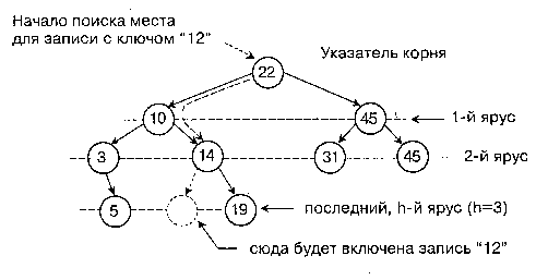 derevo8.gif (3502 bytes)